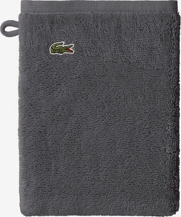 LACOSTE Washcloth 'L LE CROCO' in Grey: front