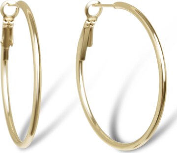 Boucles d'oreilles 'Tiny Hoops' Amberz en or : devant