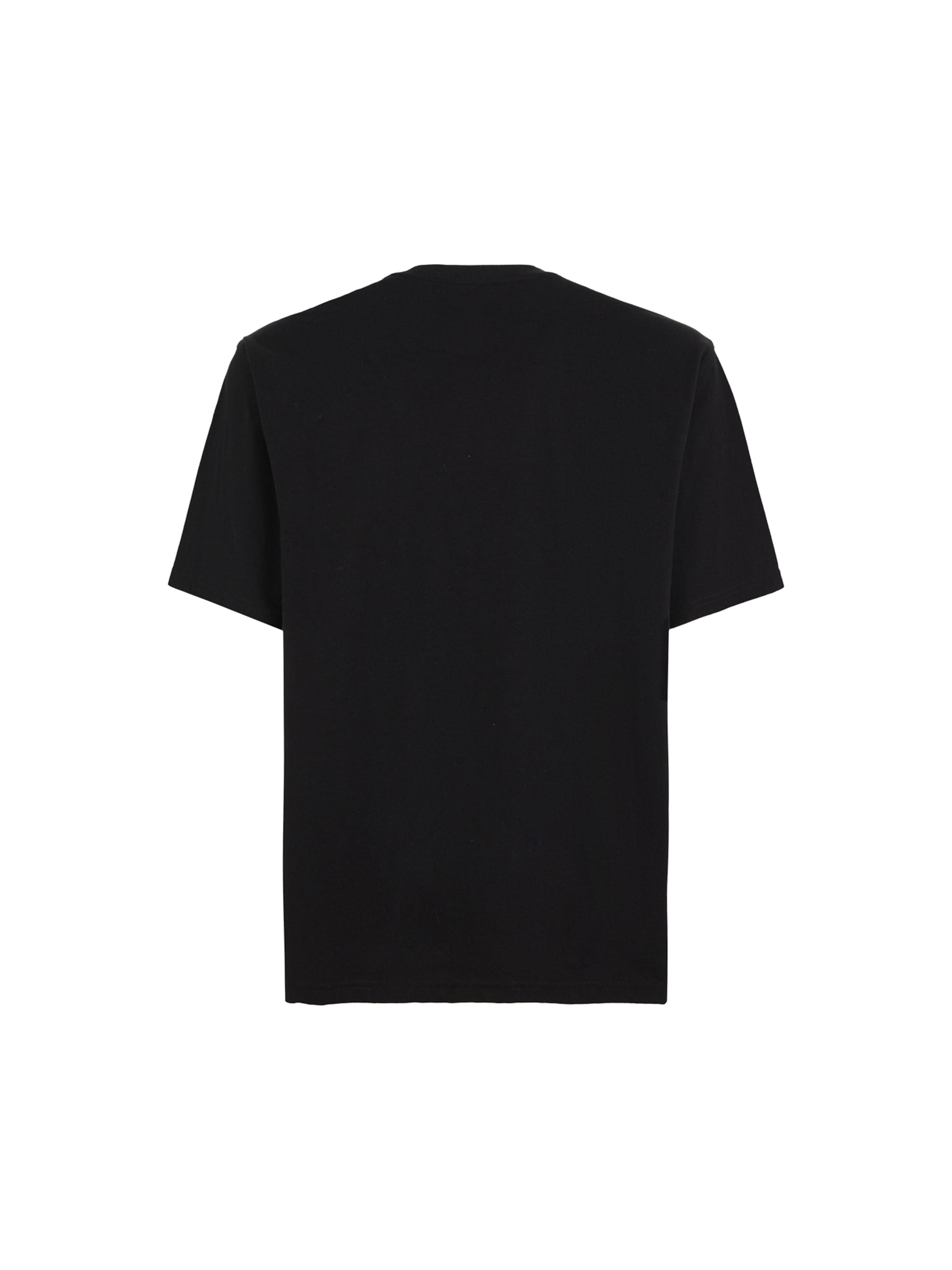 DICKIES T-shirt 'CLANCY' i svart
