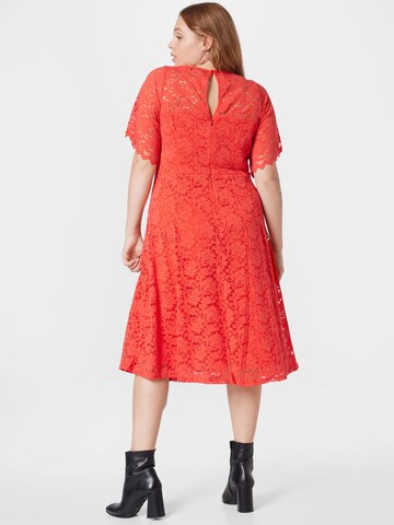 Dorothy Perkins Curve Šaty – oranžová