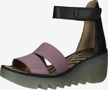 FLY LONDON Sandals in Purple: front