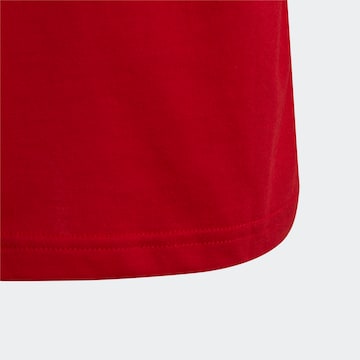 ADIDAS ORIGINALS Shirt 'Adicolor Trefoil' in Rood