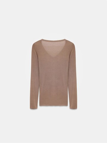 Dilvin Top in Brown