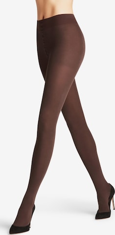 FALKE Tights 'Family' in Brown: front