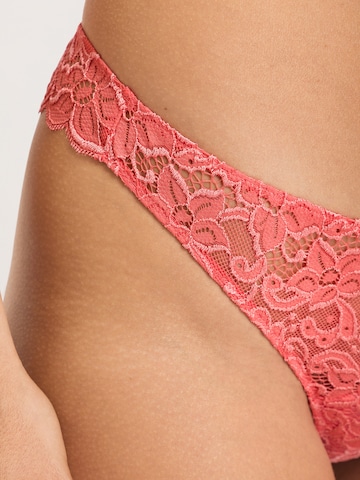 Hanro String Tanga  ' Moments ' in Pink