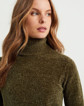 WE Fashion Sweater in Green