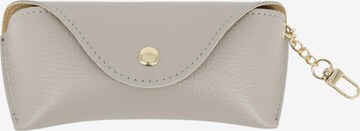 Brise Case 'Brillenetui' in Grey: front