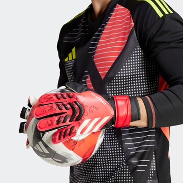 ADIDAS PERFORMANCE Sporthandschoenen 'Predator' in Zwart
