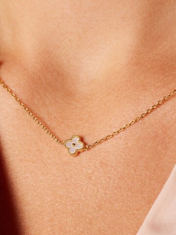 Lucardi Ketting in Goud