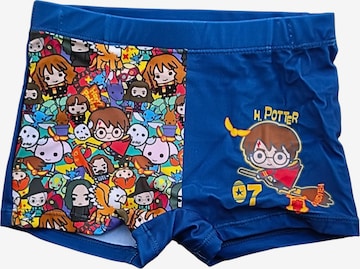 Harry Potter Board Shorts 'Harry Potter Badehose' in Blue: front