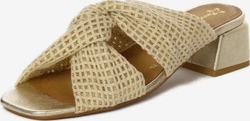 Maciejka Pantolette '06955-25/00-0' in Gold: Vorderseite