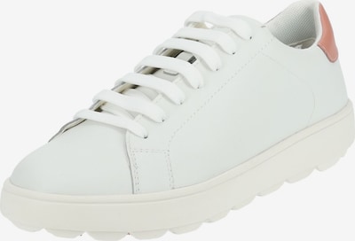 GEOX Sneakers in Pink / White, Item view