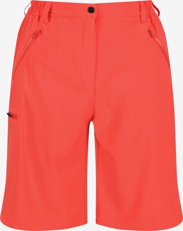 REGATTA Regular Outdoor Pants 'Xert It' in Orange: front