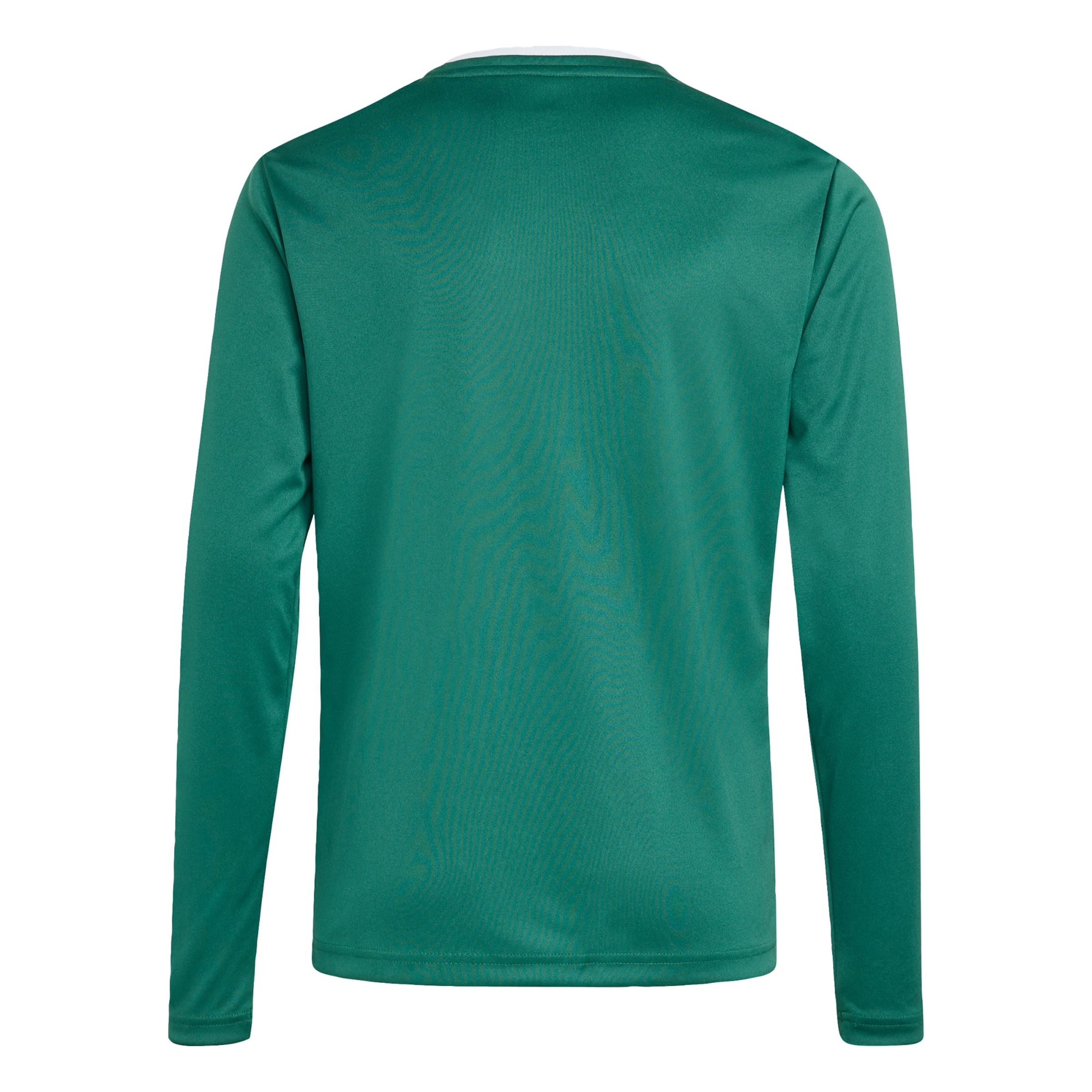ADIDAS PERFORMANCE - Camisa funcionais 'Entrada26' em verde