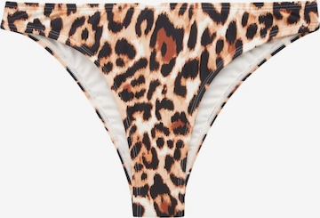 Slip bikini di Next in marrone: frontale