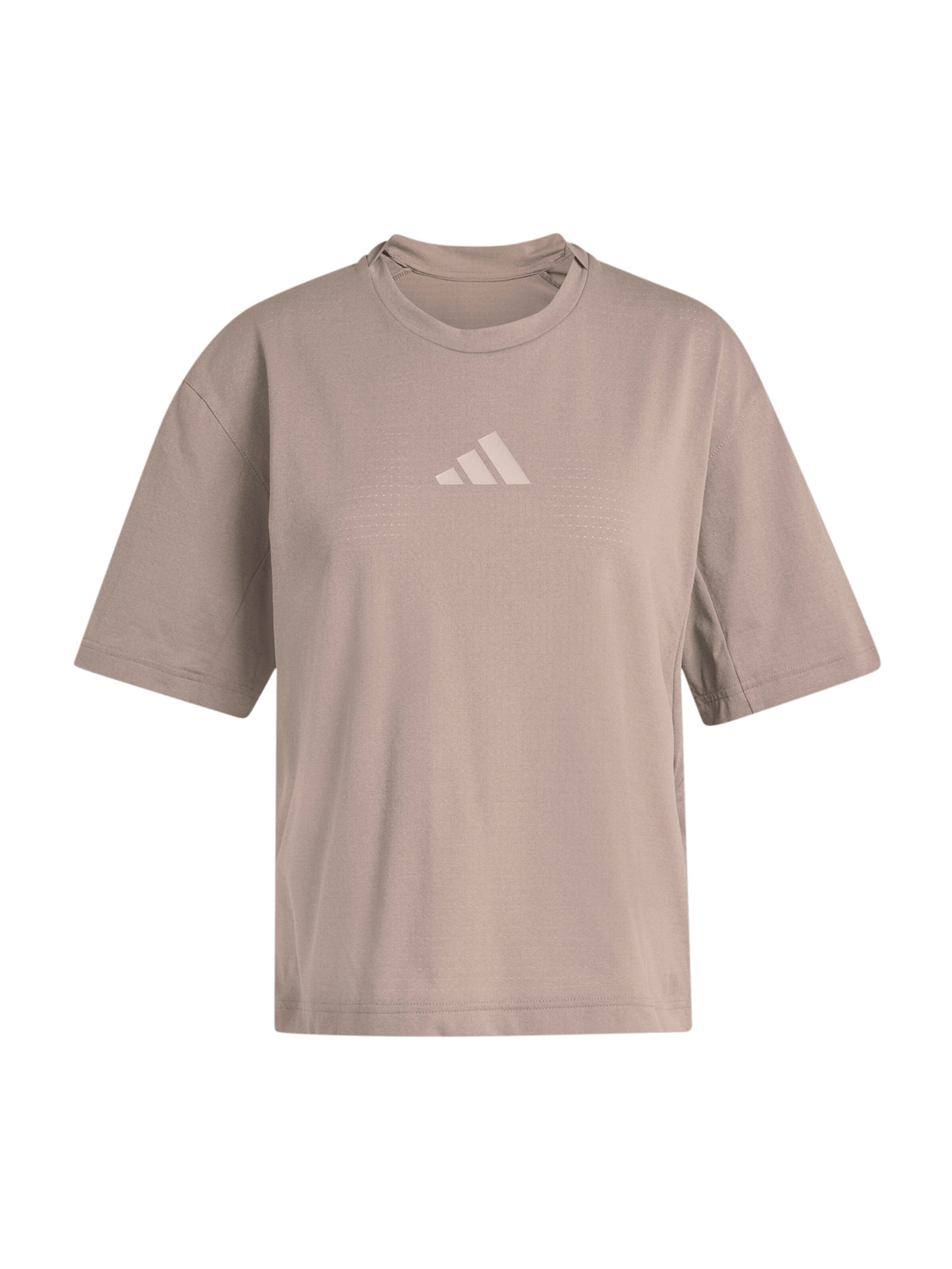 ADIDAS TERREX Λειτουργικό μπλουζάκι 'XPL' σε καφέ: μπροστά