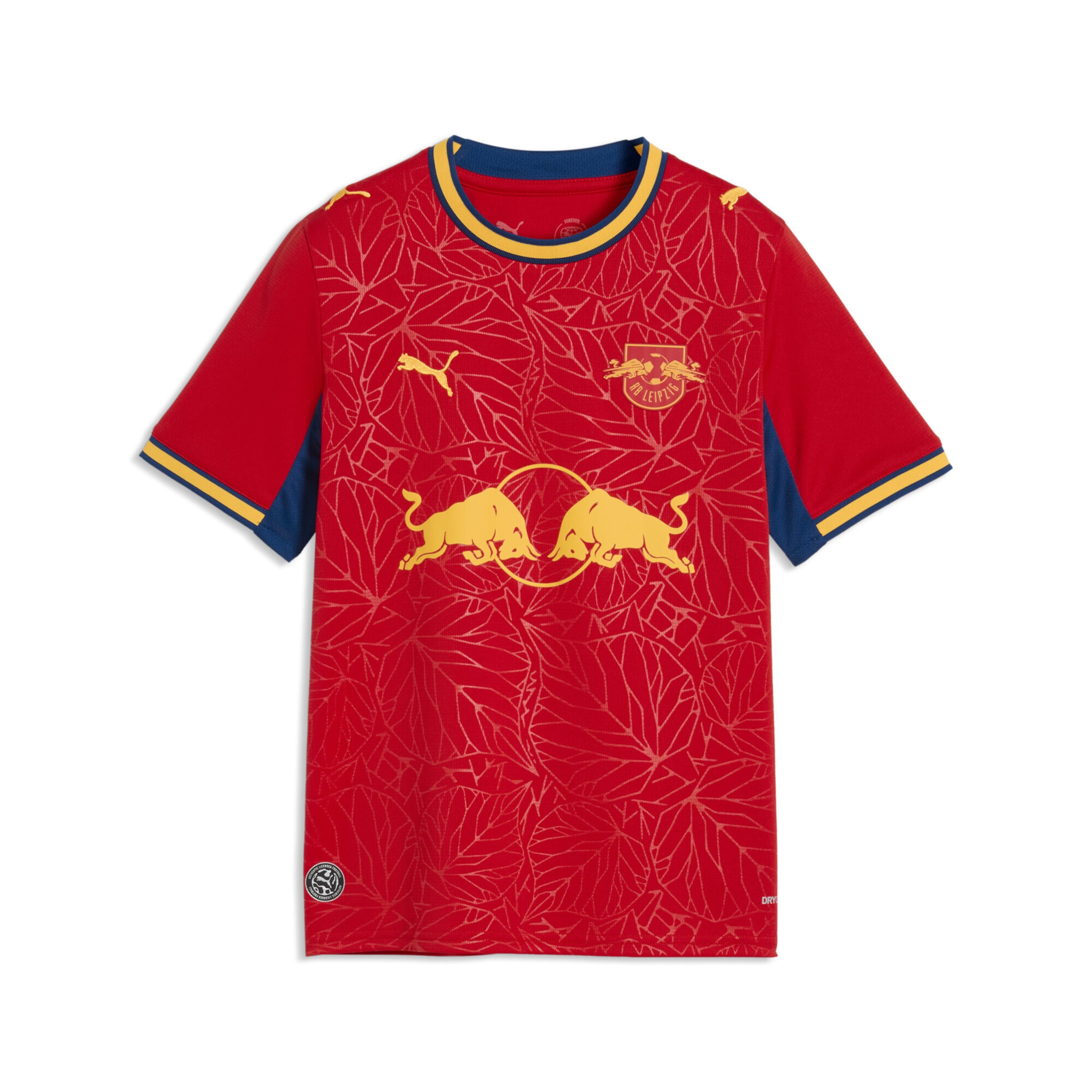 PUMA Functioneel shirt 'RB Leipzig 26/27' in Rood: voorkant
