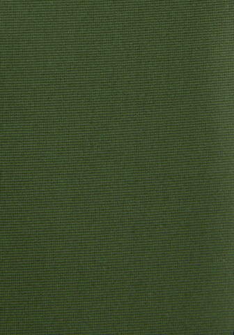 Slip bikini di Bruno Banani in verde