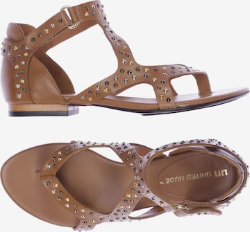 UNITED NUDE Sandals & High-Heeled Sandals in 36 in Brown: front