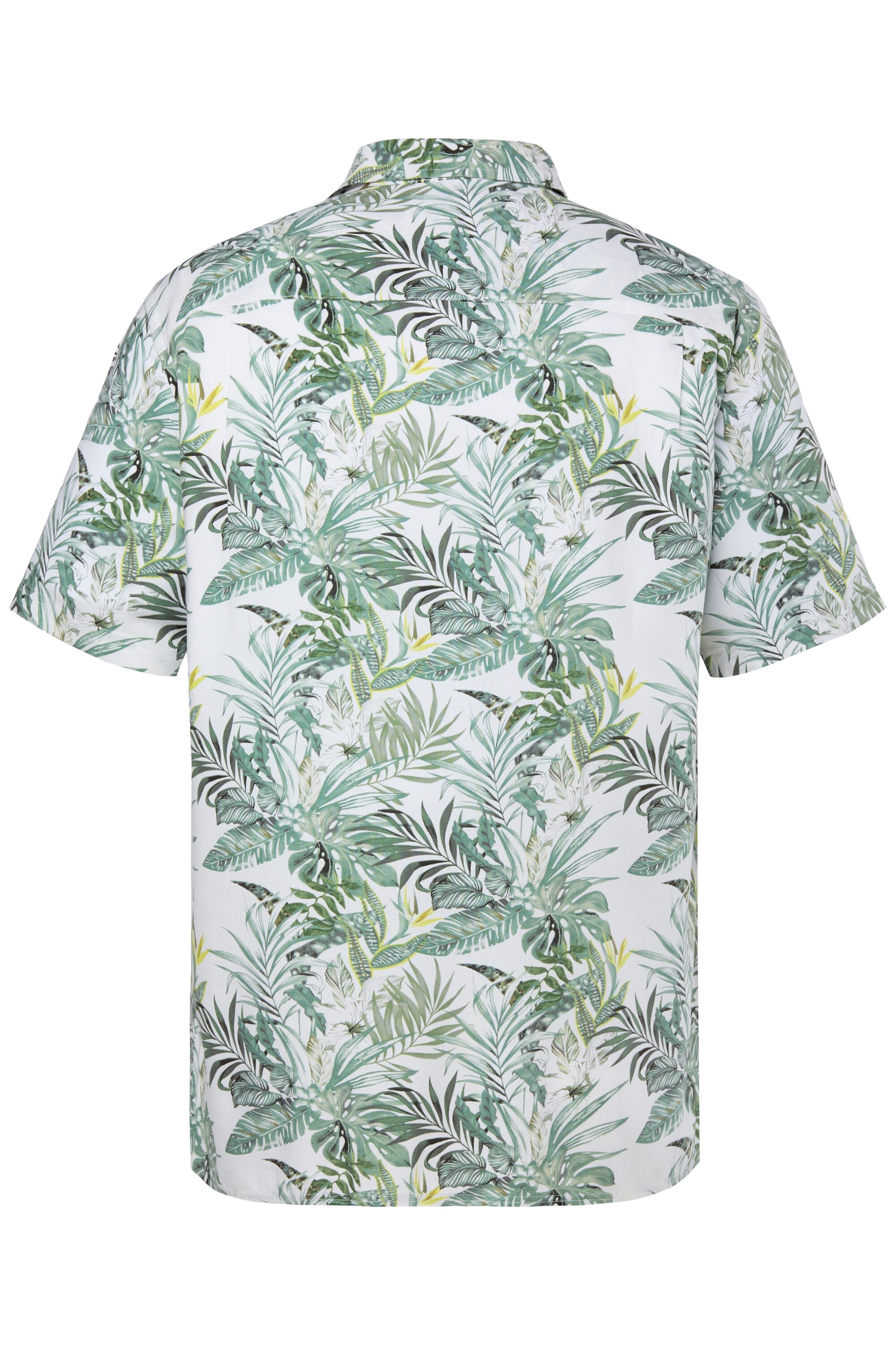 Boston Park Comfort Fit Hemd in Grün