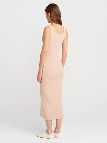Dilvin Dress in Beige
