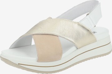 IGI&CO Sandals in Beige: front