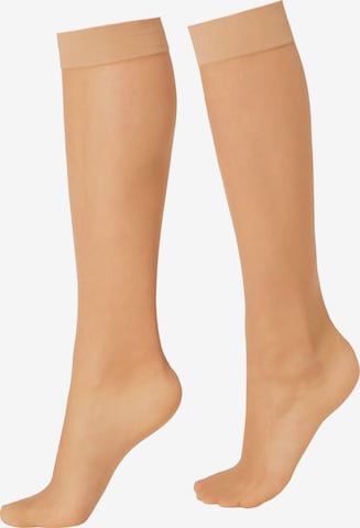 CALZEDONIA Knee High Socks in Beige: front