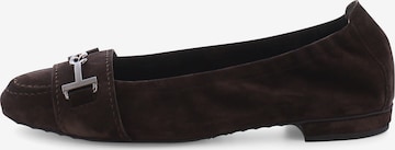 Ballerines 'Malu' Kennel & Schmenger en marron : devant