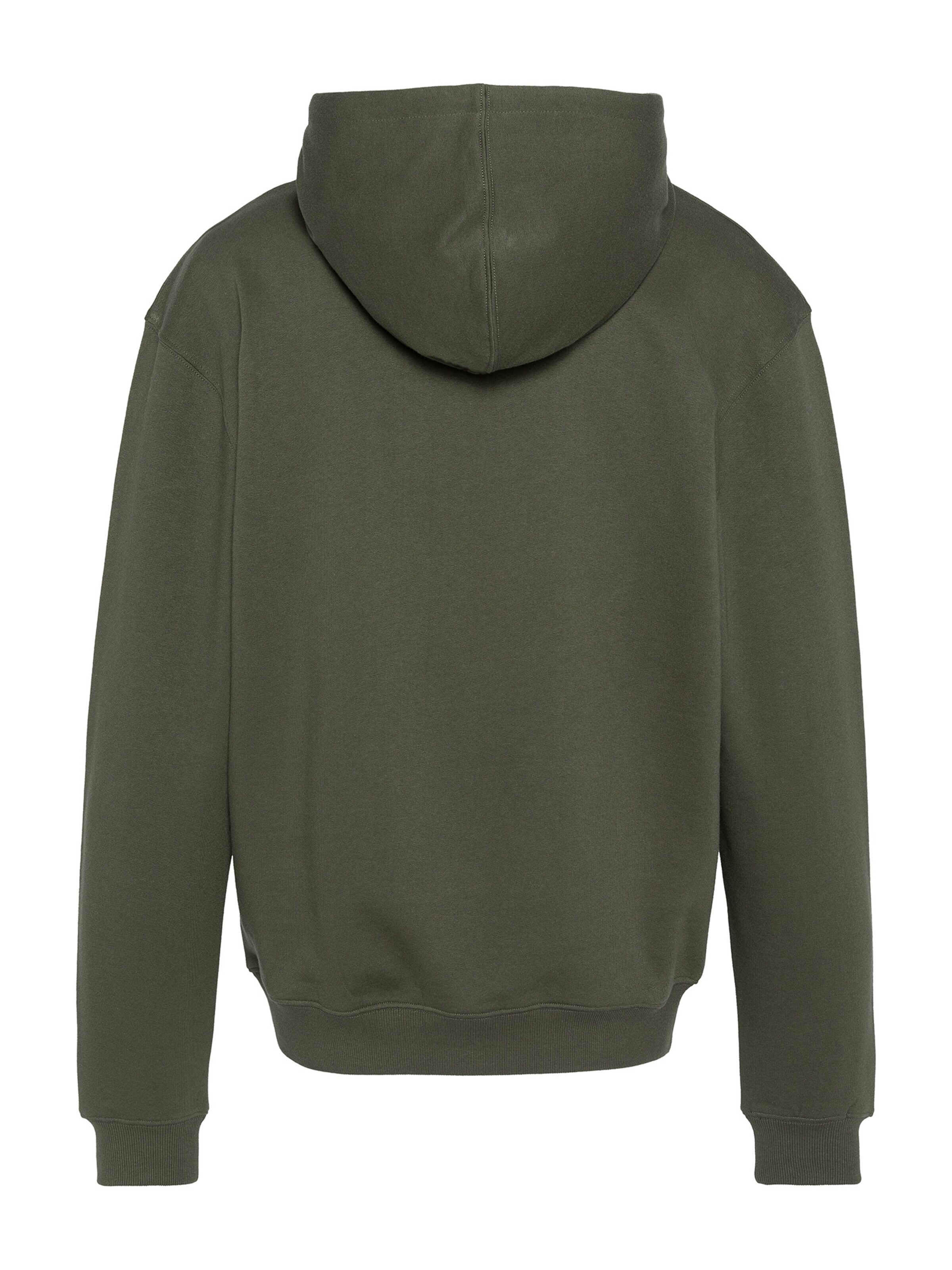 Schott NYC Sweatshirt‌‌‌ in Grün