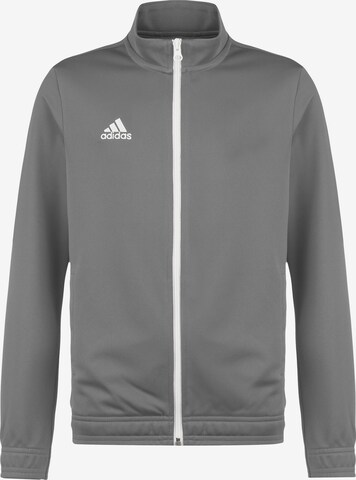 Veste de sport 'Entrada' ADIDAS PERFORMANCE en gris : devant