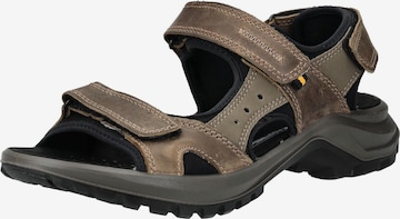 IMAC Sandal in Grey: front