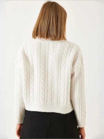 Pull-over 'Pullover' Bianco Lucci en blanc