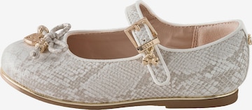Baker by Ted Baker Ballerina värissä beige: etupuoli