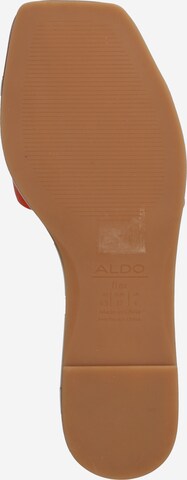 ALDO Pantolette in Orange