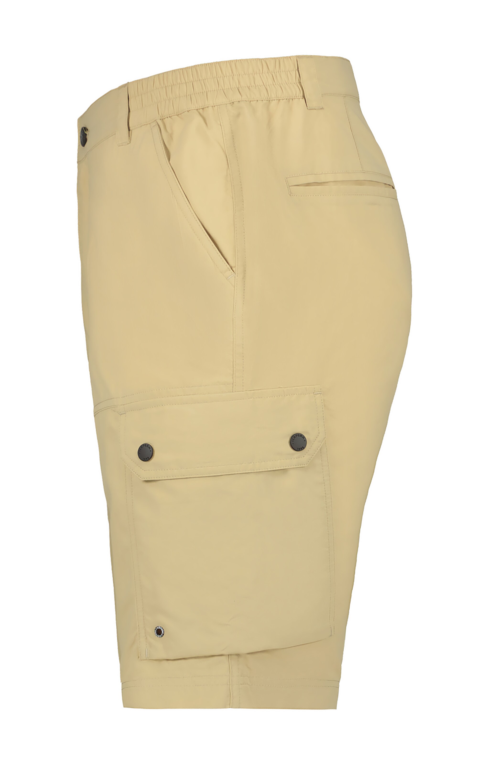 ICEPEAK Regular Outdoor Pants 'Anzio' in Beige
