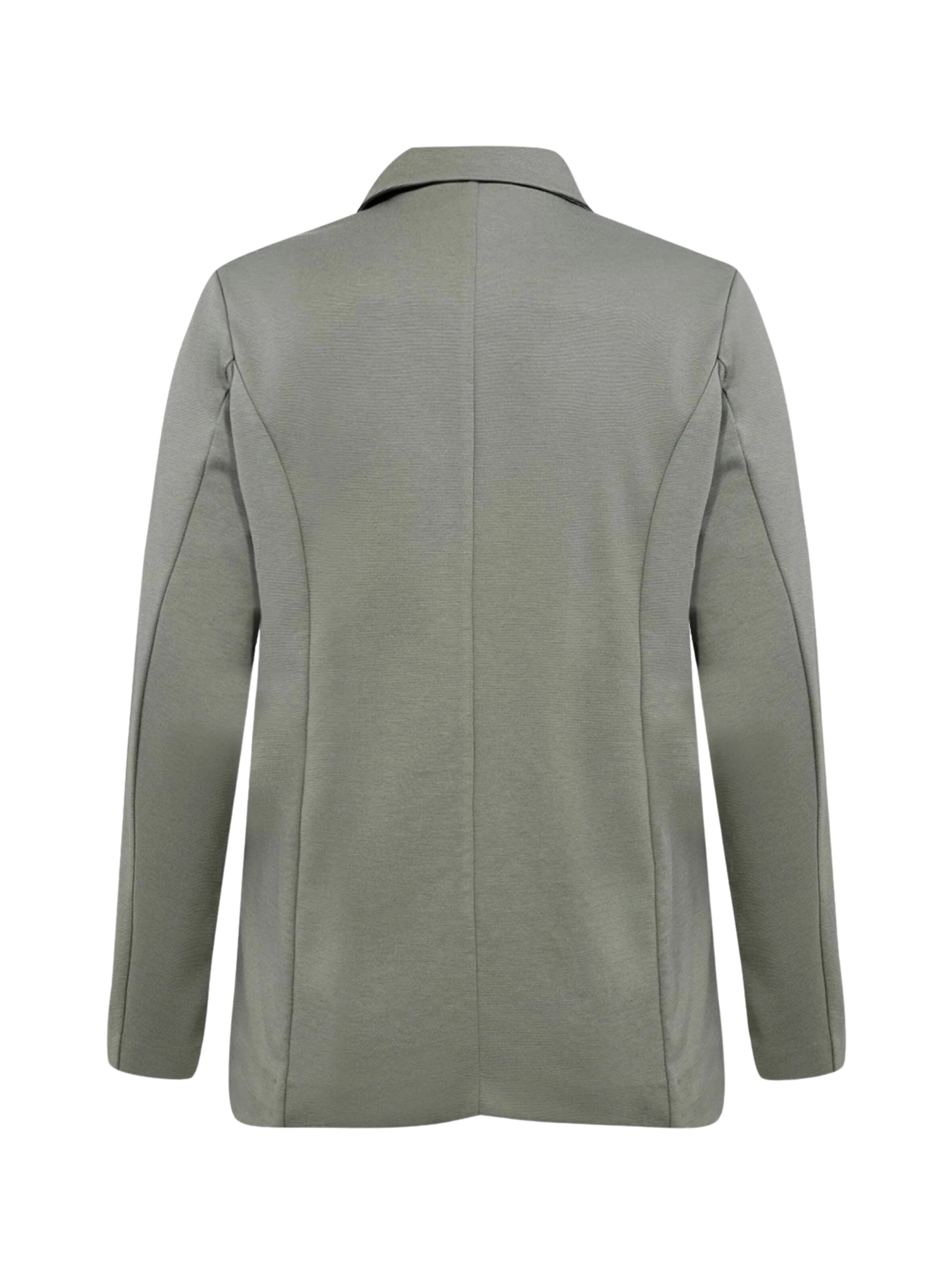 Blazer 'Sina' Wasabi Concept en gris