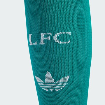 Calzino sportivo 'FC Liverpool 25/26' di ADIDAS PERFORMANCE in verde