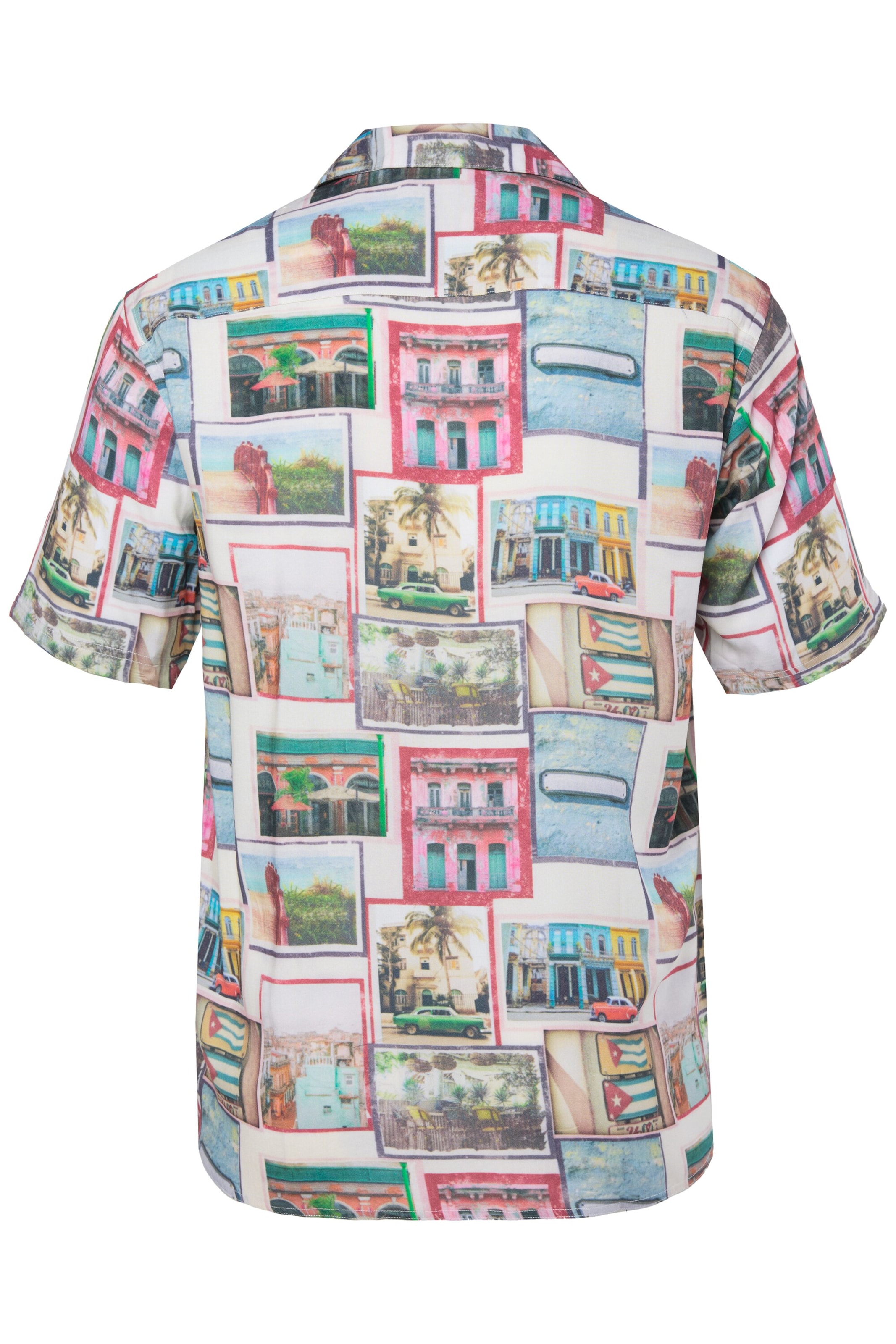 Men Plus Regular Fit Hemd in Mischfarben