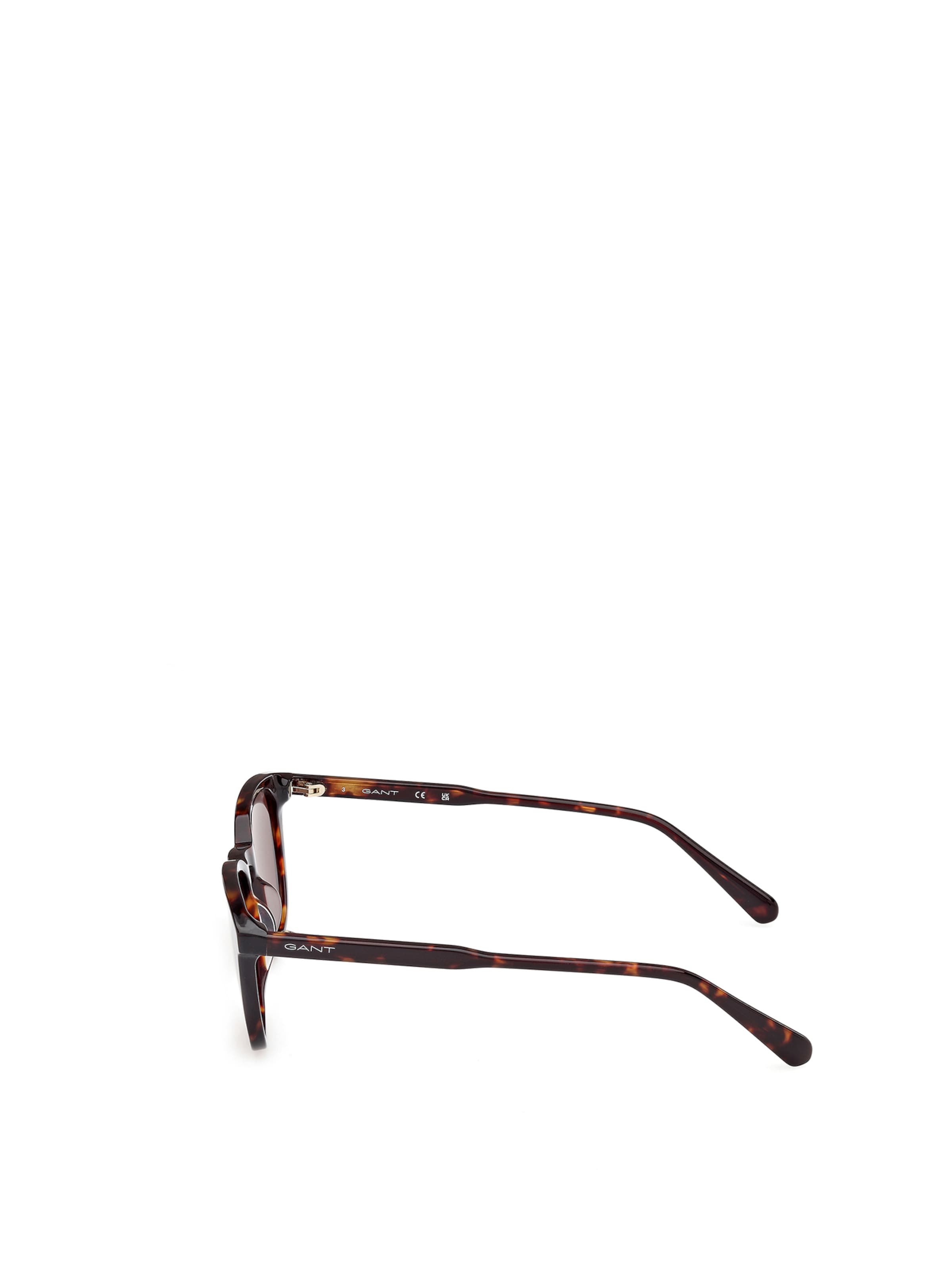 GANT Sunglasses in Brown