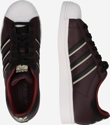 ADIDAS ORIGINALS - Sapatilhas baixas 'Superstar' em vermelho