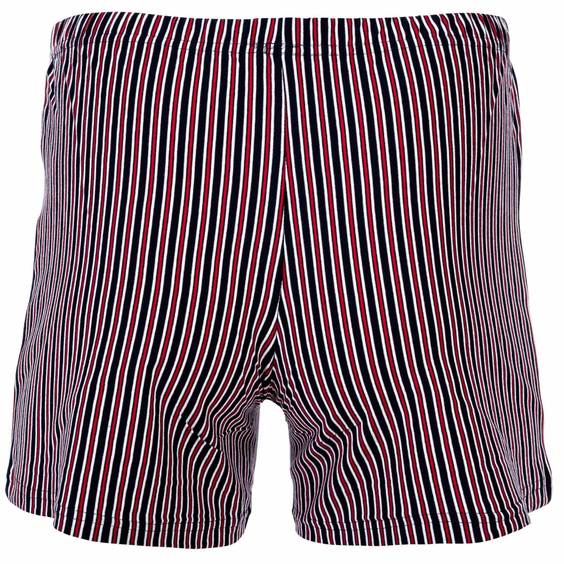 Yourbasics Boxershorts in Blau