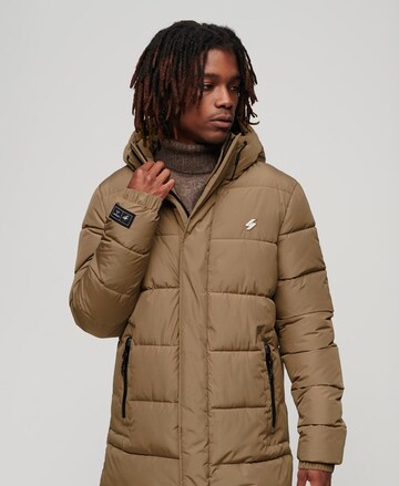 Superdry Winter Coat in Brown