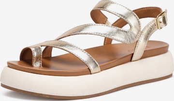 INUOVO Strap Sandals in Gold: front
