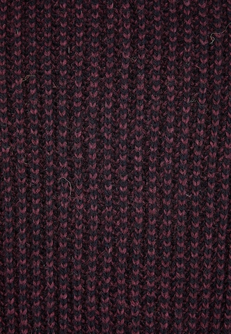 Cleptomanicx Pullover 'Big Ben' in Rot