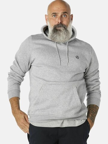 Molecule Sweatshirt i grå