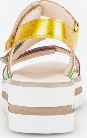 GABOR Sandals in Mixed colors