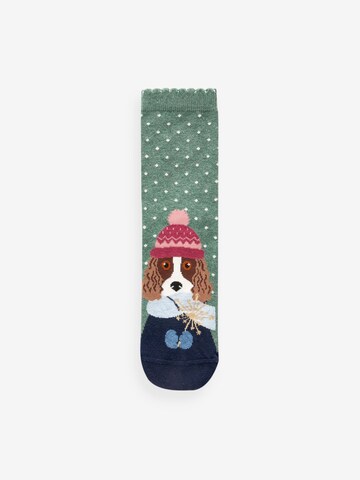 Next Socken in Mischfarben