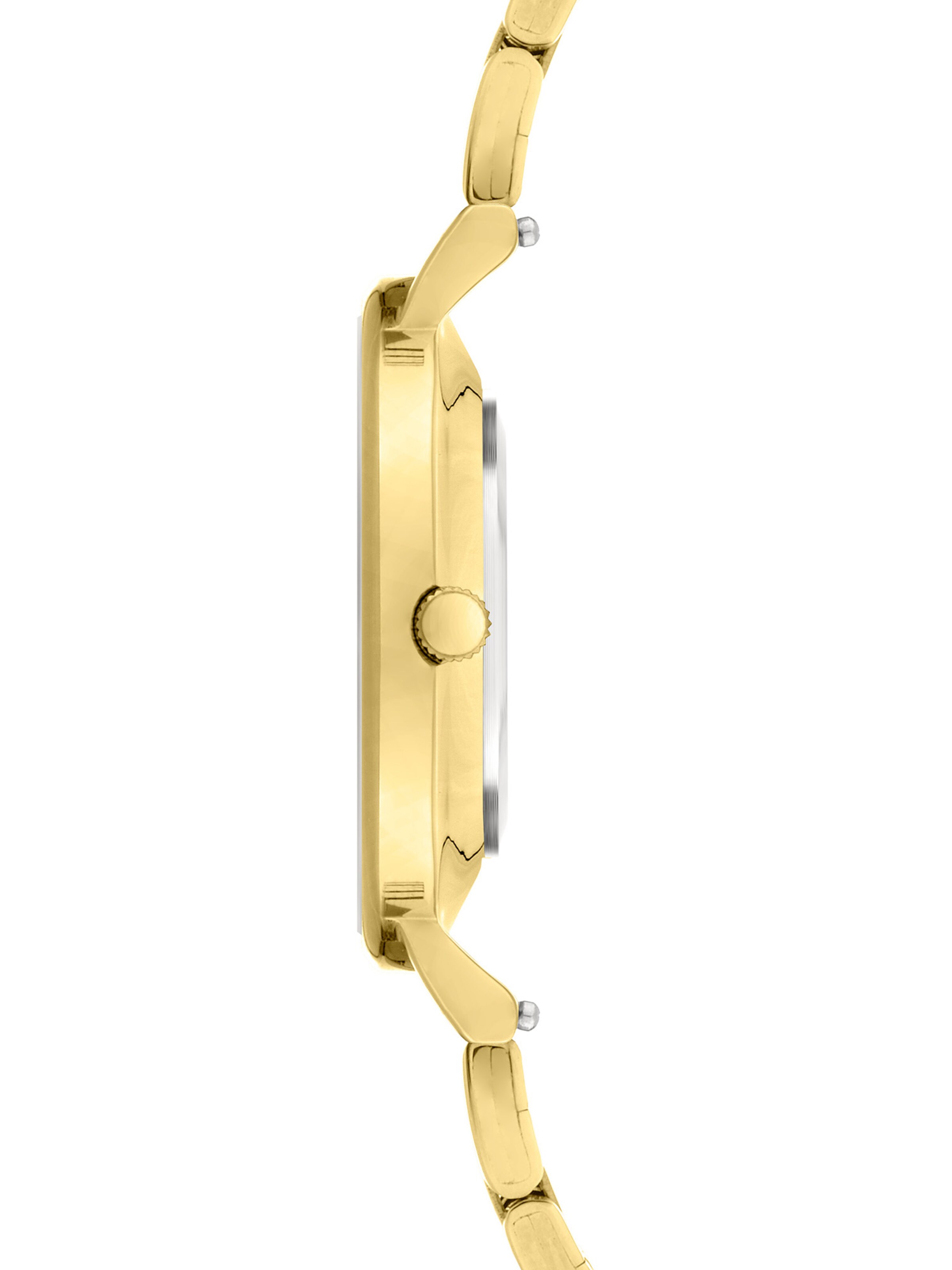 Liebeskind Berlin Armbanduhr in Gold