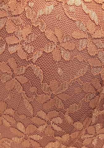 VIVANCE Push-up Bra in Brown
