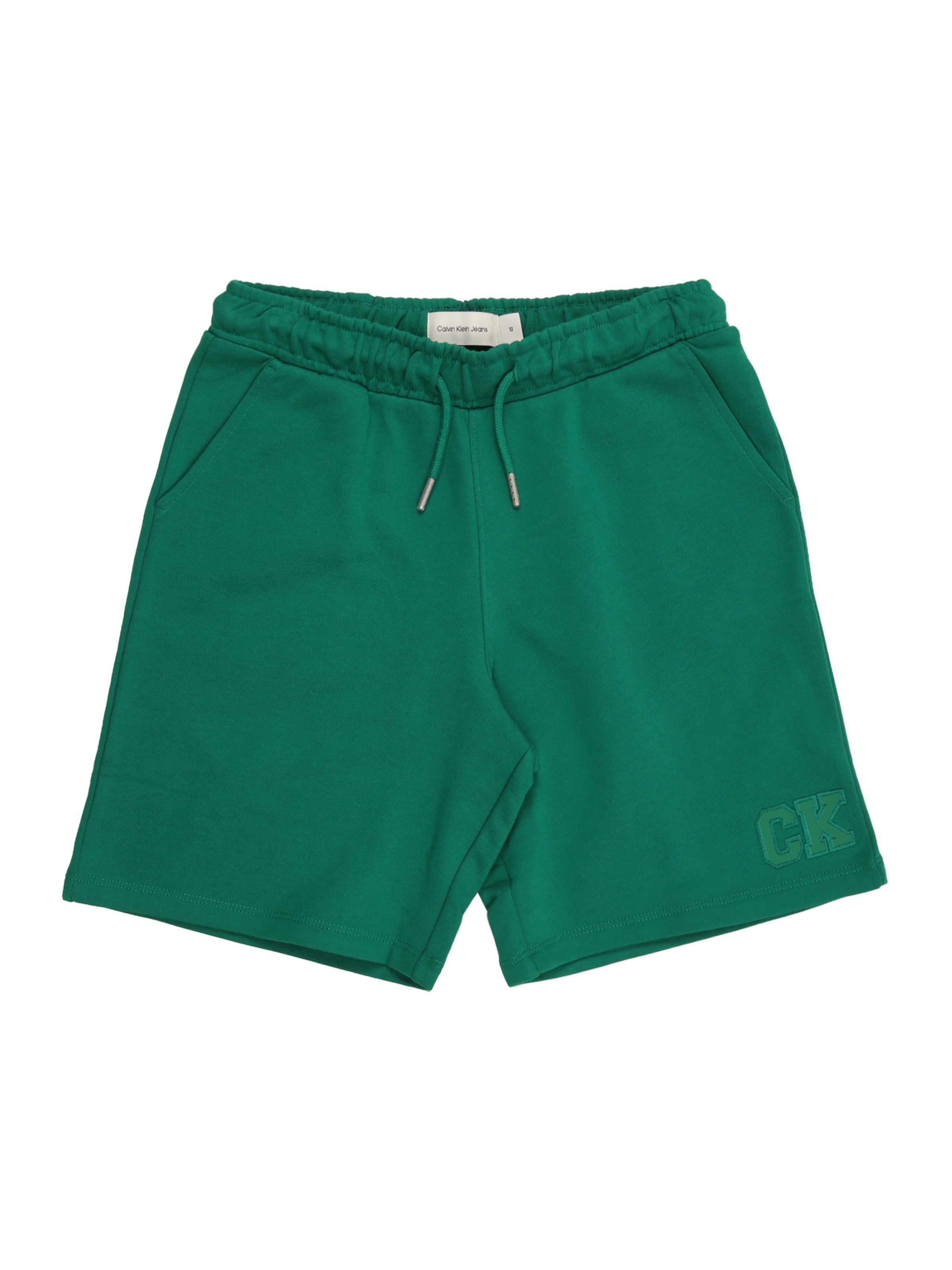 Calvin Klein Jeans Regularen Hlače | zelena barva: sprednja stran